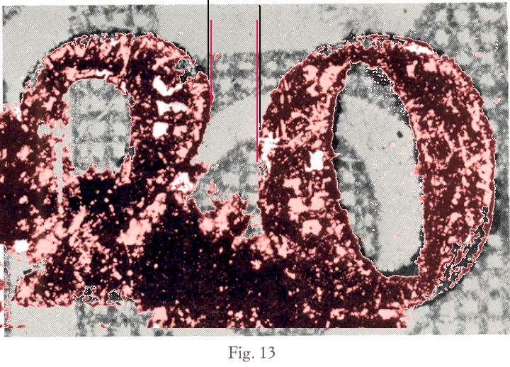 Fig. 13